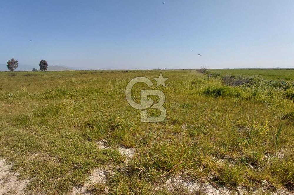 Foça Yenibağarası Satılık Tarla | Yolu Olan Doğa İçinde