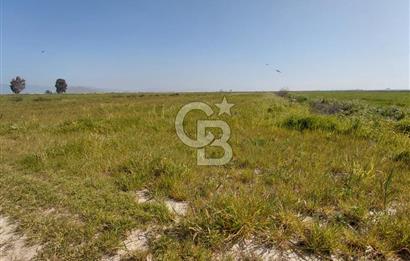 Foça Yenibağarası Satılık Tarla | Yolu Olan Doğa İçinde