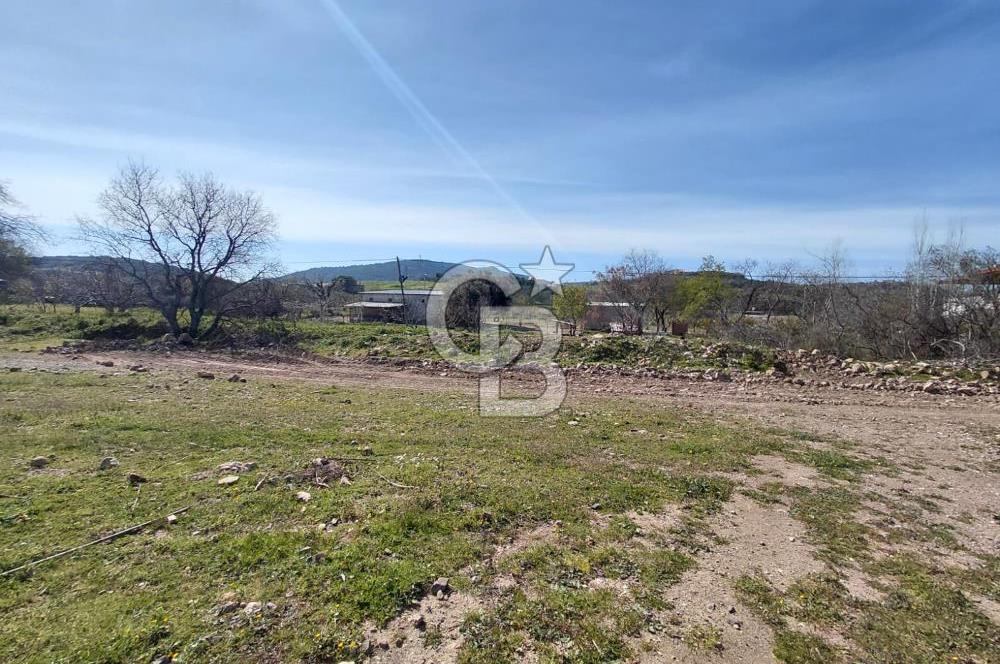 Foça Yenibağarası’nda Yola Cepheli Sahile Yakın Parsel