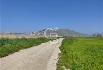 Foça Yenibağarası Satılık Tarla | Yolu Olan Doğa İçinde - 2 - 339723