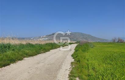 Foça Yenibağarası Satılık Tarla | Yolu Olan Doğa İçinde