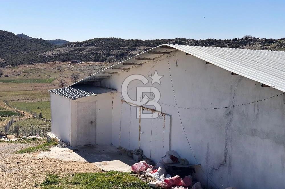 MERSIN'DE SATILIK TAM DONANIMLI FAAL TAVUK ÇİFTLİĞİ