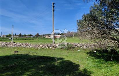 Foça Yenibağarası’nda Yola Cepheli Sahile Yakın Parsel