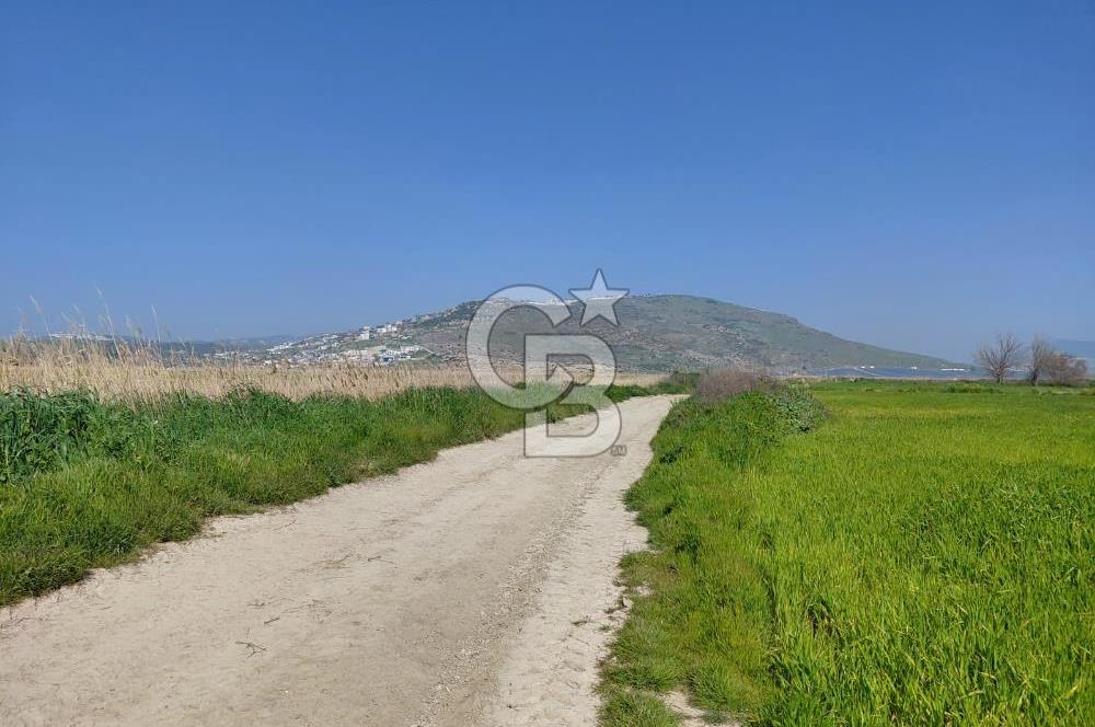 Foça Yenibağarası Satılık Tarla | Yolu Olan Doğa İçinde