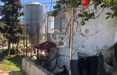 MERSIN'DE SATILIK TAM DONANIMLI FAAL TAVUK ÇİFTLİĞİ