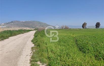 Foça Yenibağarası Satılık Tarla | Yolu Olan Doğa İçinde