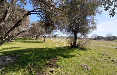 Foça Yenibağarası’nda Yola Cepheli Sahile Yakın Parsel