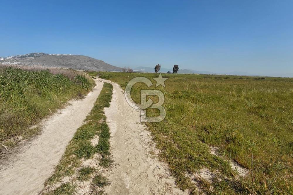 Foça Yenibağarası Satılık Tarla | Yolu Olan Doğa İçinde