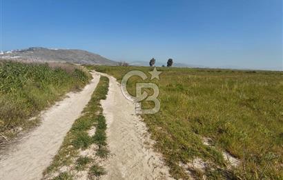 Foça Yenibağarası Satılık Tarla | Yolu Olan Doğa İçinde