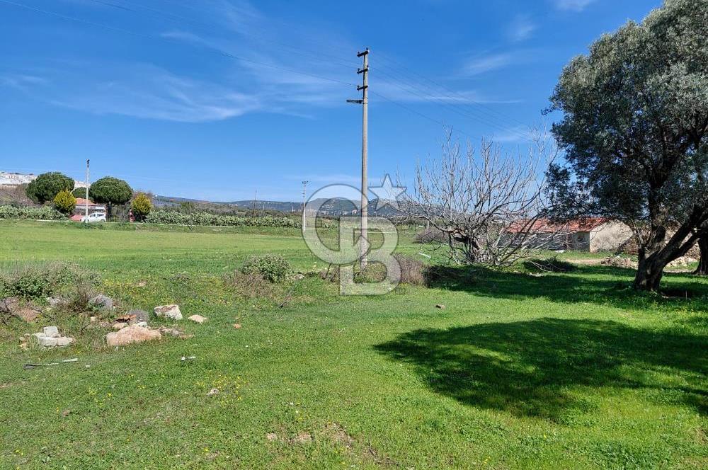 Foça Yenibağarası’nda Yola Cepheli Sahile Yakın Parsel