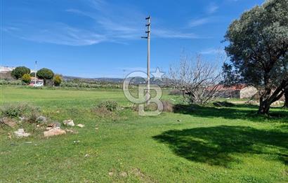 Foça Yenibağarası’nda Yola Cepheli Sahile Yakın Parsel