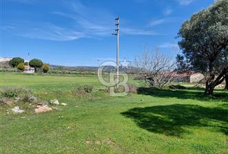 Foça Yenibağarası’nda Yola Cepheli Sahile Yakın Parsel - 3 - 339721