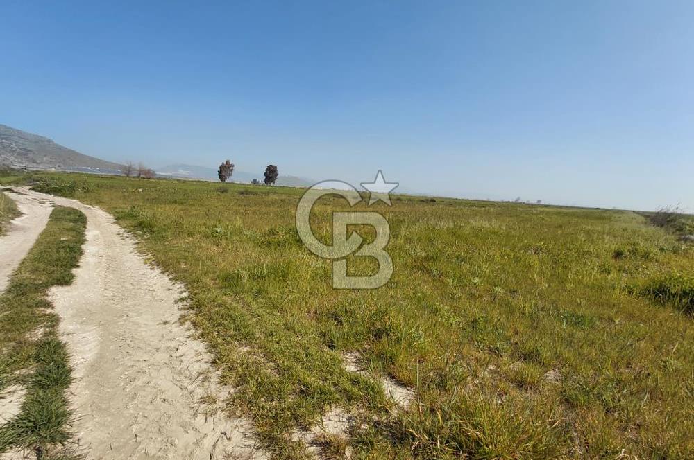 Foça Yenibağarası Satılık Tarla | Yolu Olan Doğa İçinde