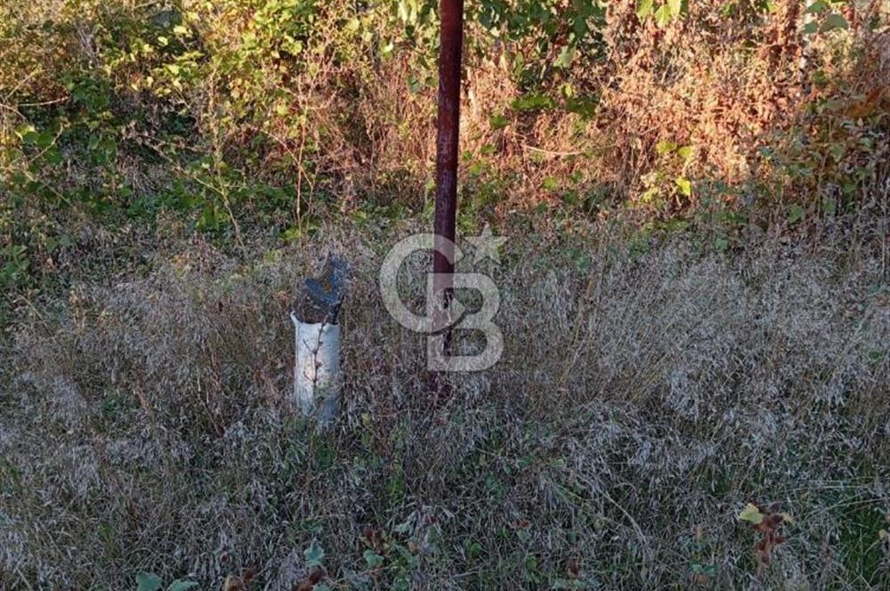 BAYINDIR ÇINARDİBİ FIRSAT TARLA