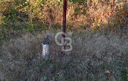 BAYINDIR ÇINARDİBİ FIRSAT TARLA