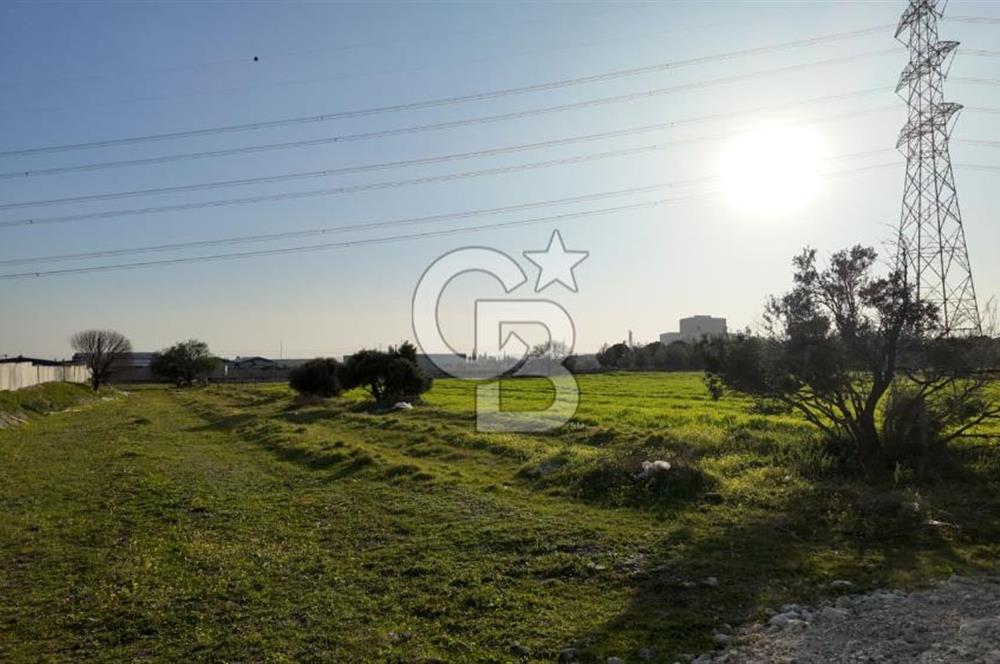 Menemen Türkelli’de Ticari Bölgede Yola Cepheli Parsel