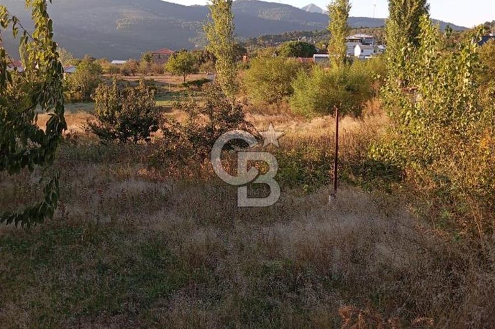 BAYINDIR ÇINARDİBİ FIRSAT TARLA