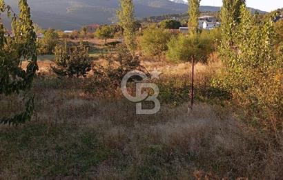 BAYINDIR ÇINARDİBİ FIRSAT TARLA