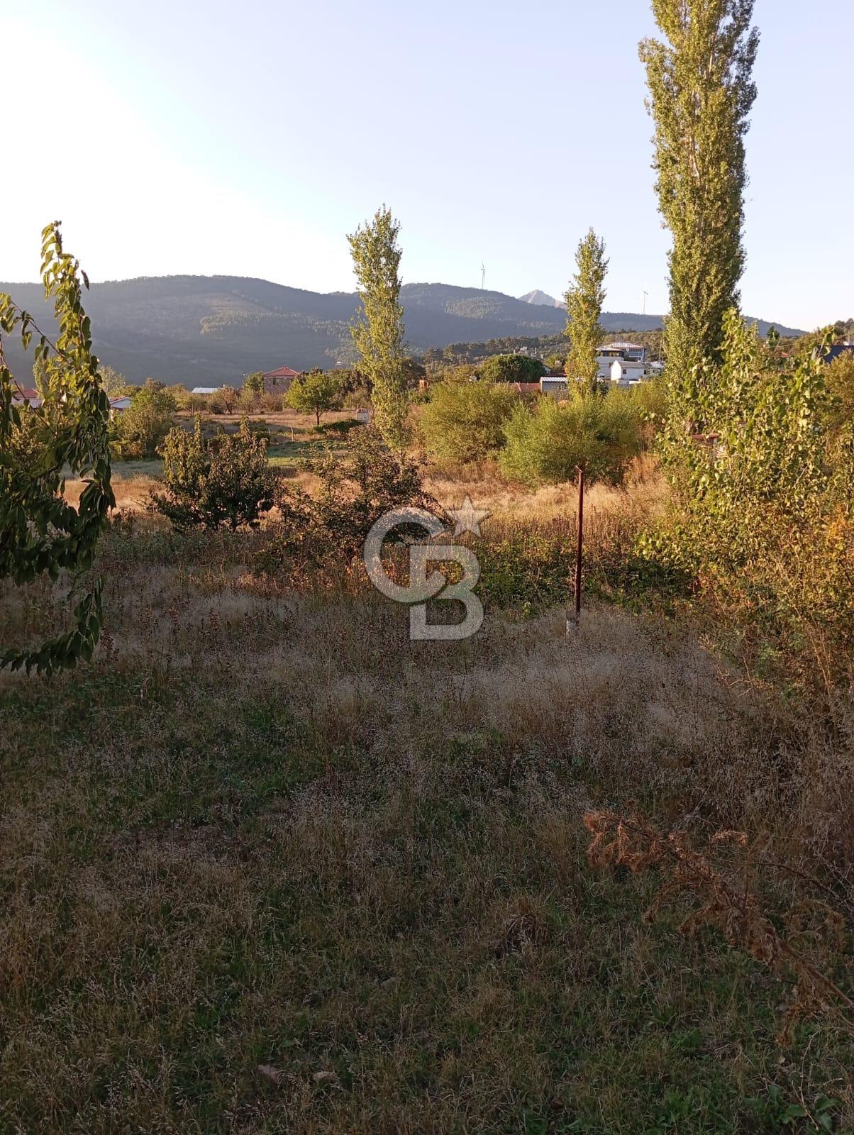 BAYINDIR ÇINARDİBİ FIRSAT TARLA