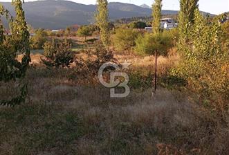 BAYINDIR ÇINARDİBİ FIRSAT TARLA - 1 - 339743