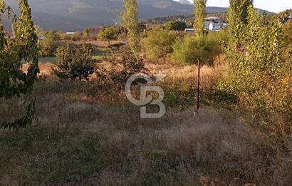 BAYINDIR ÇINARDİBİ FIRSAT TARLA