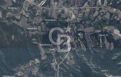 BOLU GÖYNÜK KARACALAR KÖYÜNDE 1274 M2 MÜSTAKİL TAPULU ARAZİ
