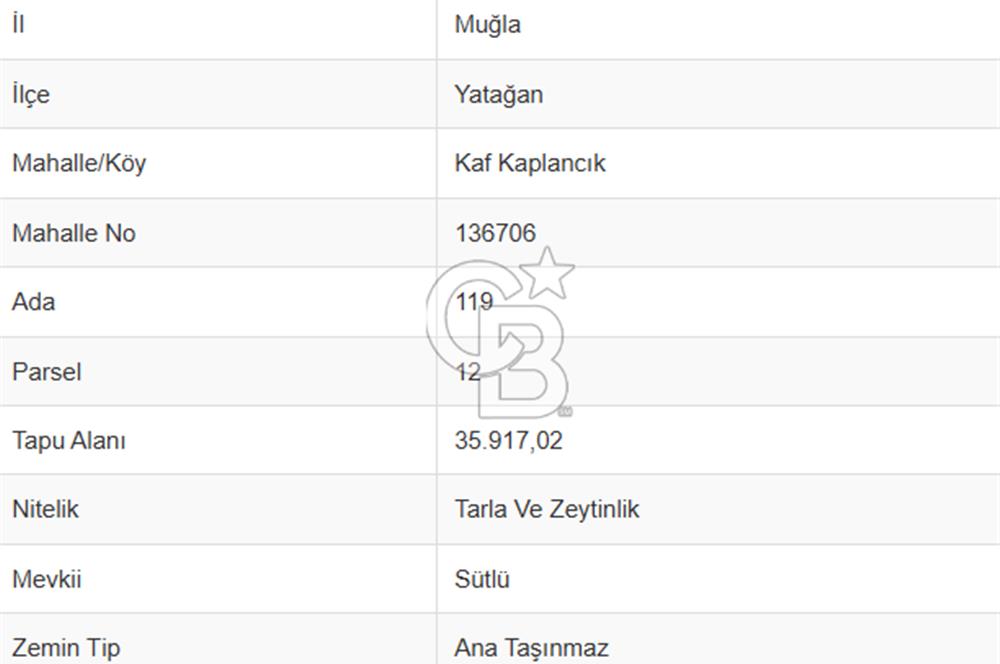 MUĞLA YATAĞAN KAFKAPLANCIKTA SATILIK TARLA