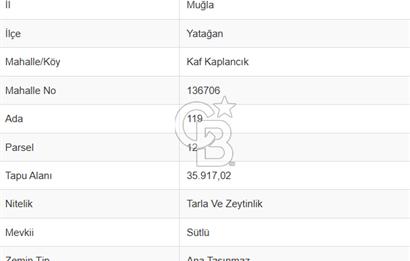 MUĞLA YATAĞAN KAFKAPLANCIKTA SATILIK TARLA