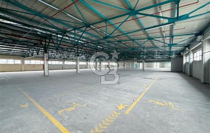 AVCILAR E-5 CADDE ÜZERİNDE KİRALIK 7.500m² FABRİKA/DEPO