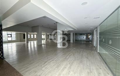 AVCILAR E-5 CEPHELİ 1.600 m² PRESTİJLİ KİRALIK DÜKKAN&MAĞAZA