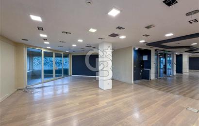 AVCILAR E-5 CEPHELİ 1.600 m² PRESTİJLİ KİRALIK DÜKKAN&MAĞAZA