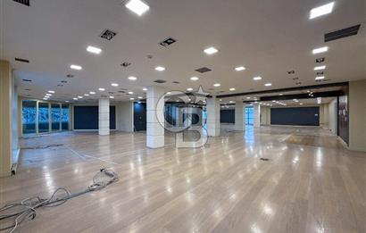 AVCILAR E-5 CEPHELİ 1.600 m² PRESTİJLİ KİRALIK DÜKKAN&MAĞAZA