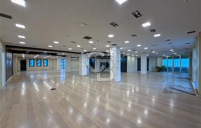 AVCILAR E-5 CEPHELİ 1.600 m² PRESTİJLİ KİRALIK DÜKKAN&MAĞAZA