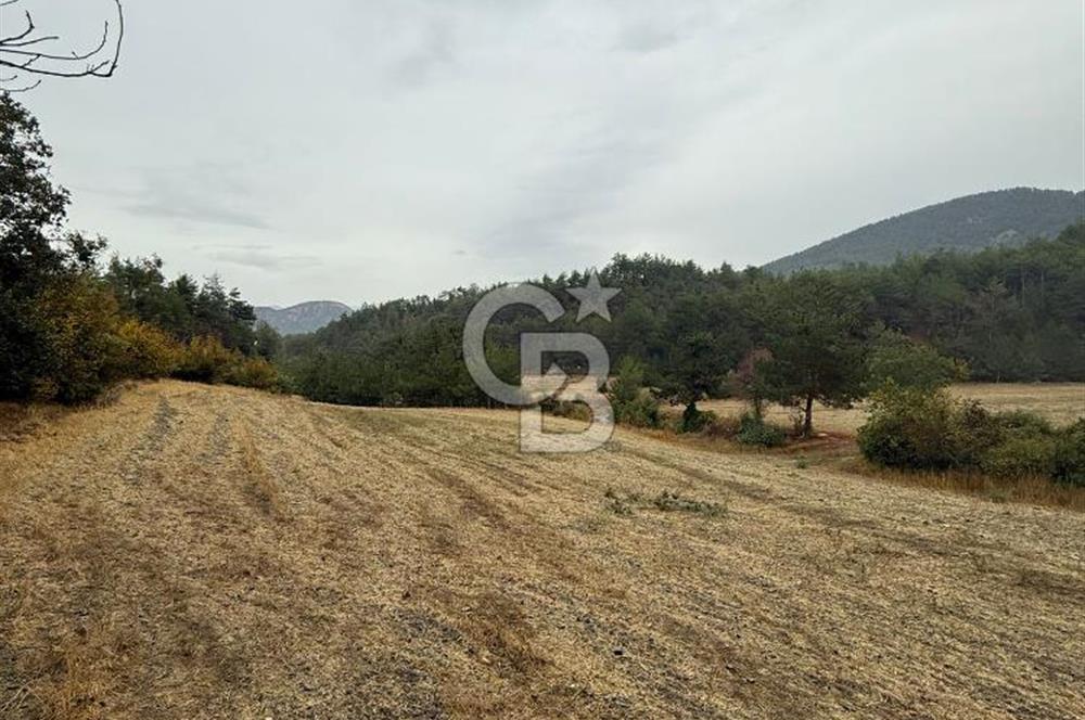 BOLU GÖYNÜK KARACALAR KÖYÜNDE 1484 M2 MÜSTAKİL TAPULU ARAZİ