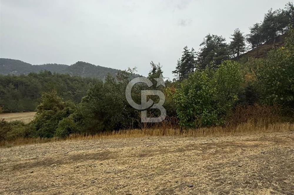 BOLU GÖYNÜK KARACALAR KÖYÜNDE 1484 M2 MÜSTAKİL TAPULU ARAZİ