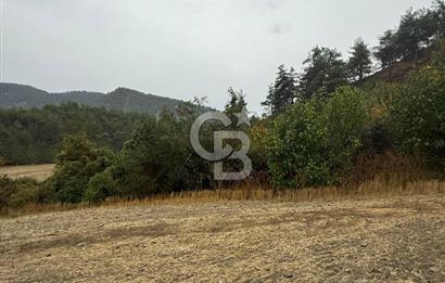 BOLU GÖYNÜK KARACALAR KÖYÜNDE 1484 M2 MÜSTAKİL TAPULU ARAZİ