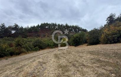 BOLU GÖYNÜK KARACALAR KÖYÜNDE 1274 M2 MÜSTAKİL TAPULU ARAZİ