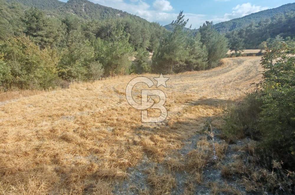 BOLU GÖYNÜK KARACALAR KÖYÜNDE 1484 M2 MÜSTAKİL TAPULU ARAZİ