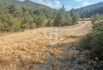 BOLU GÖYNÜK KARACALAR KÖYÜNDE 1484 M2 MÜSTAKİL TAPULU ARAZİ - 1 - 339716