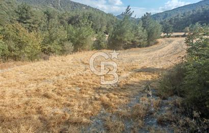 BOLU GÖYNÜK KARACALAR KÖYÜNDE 1484 M2 MÜSTAKİL TAPULU ARAZİ