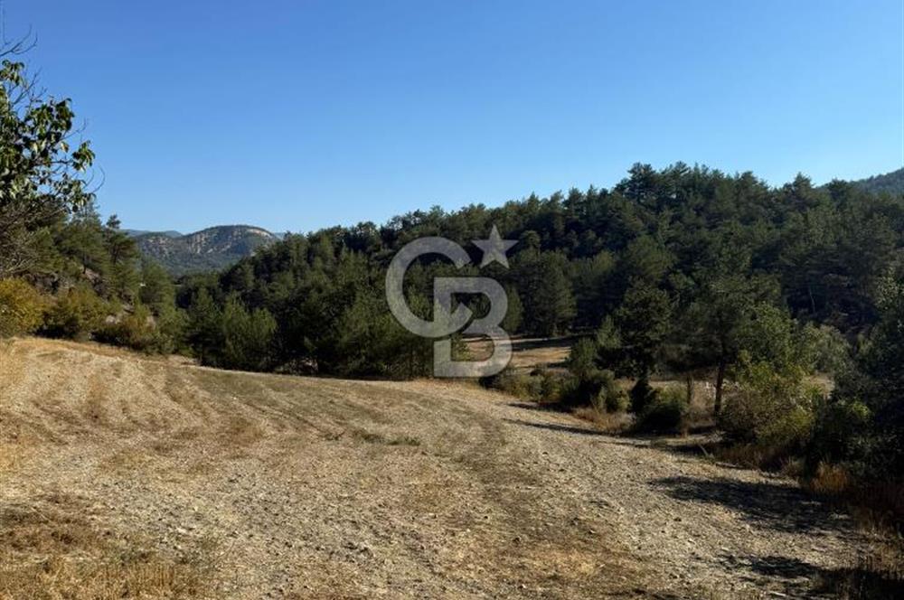 BOLU GÖYNÜK KARACALAR KÖYÜNDE 1274 M2 MÜSTAKİL TAPULU ARAZİ