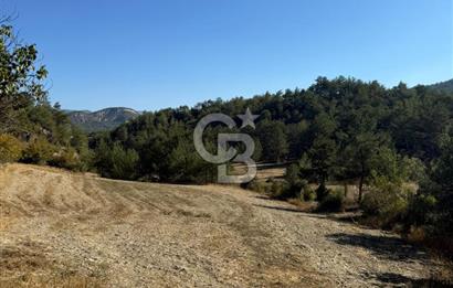 BOLU GÖYNÜK KARACALAR KÖYÜNDE 1274 M2 MÜSTAKİL TAPULU ARAZİ