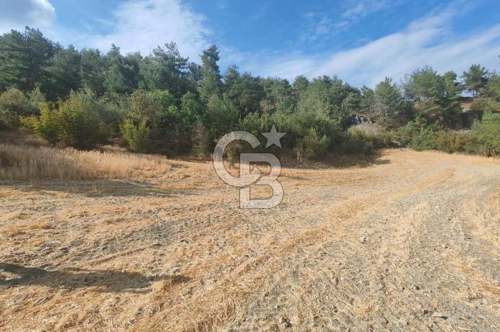 BOLU GÖYNÜK KARACALAR KÖYÜNDE 1274 M2 MÜSTAKİL TAPULU ARAZİ