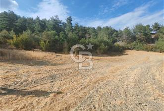 BOLU GÖYNÜK KARACALAR KÖYÜNDE 1274 M2 MÜSTAKİL TAPULU ARAZİ - 2 - 339715