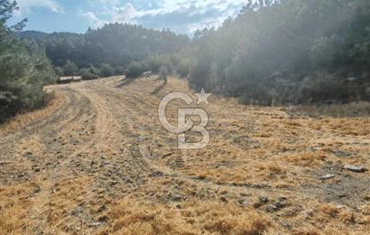 BOLU GÖYNÜK KARACALAR KÖYÜNDE 1484 M2 MÜSTAKİL TAPULU ARAZİ