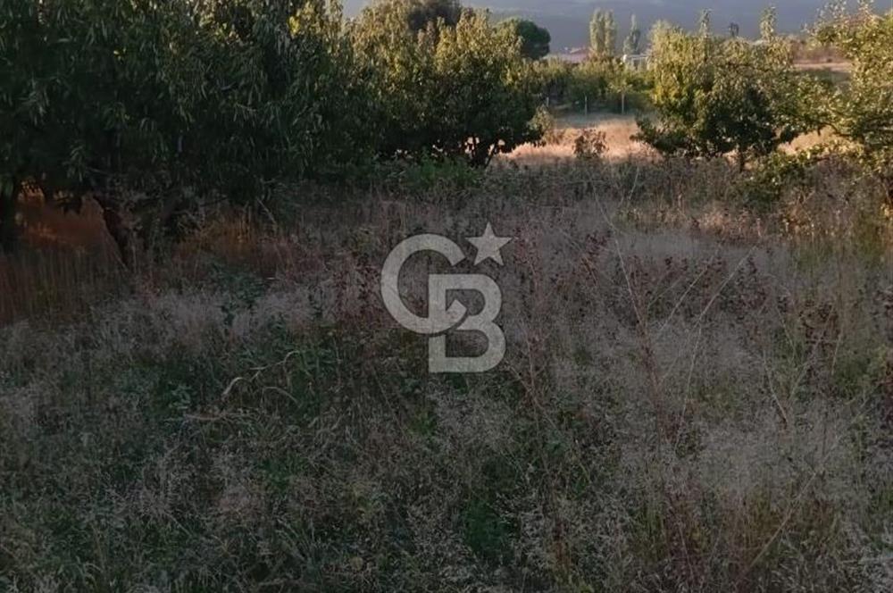 BAYINDIR ÇINARDİBİ FIRSAT TARLA