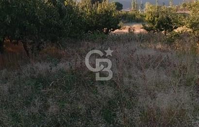 BAYINDIR ÇINARDİBİ FIRSAT TARLA