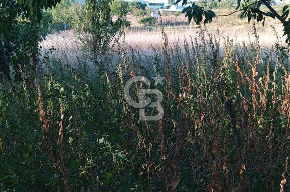 BAYINDIR ÇINARDİBİ FIRSAT TARLA