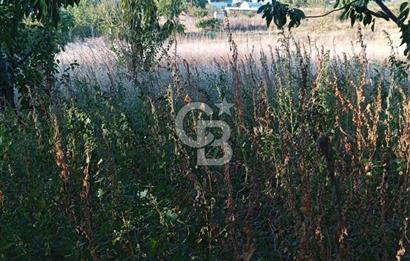 BAYINDIR ÇINARDİBİ FIRSAT TARLA