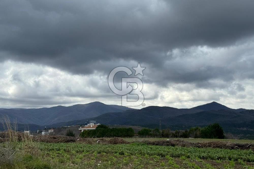 YALOVA TERMAL AKKÖY'DE SATILIK 3+1 MÜSTAKİL VİLLA BRÜT 250 M2